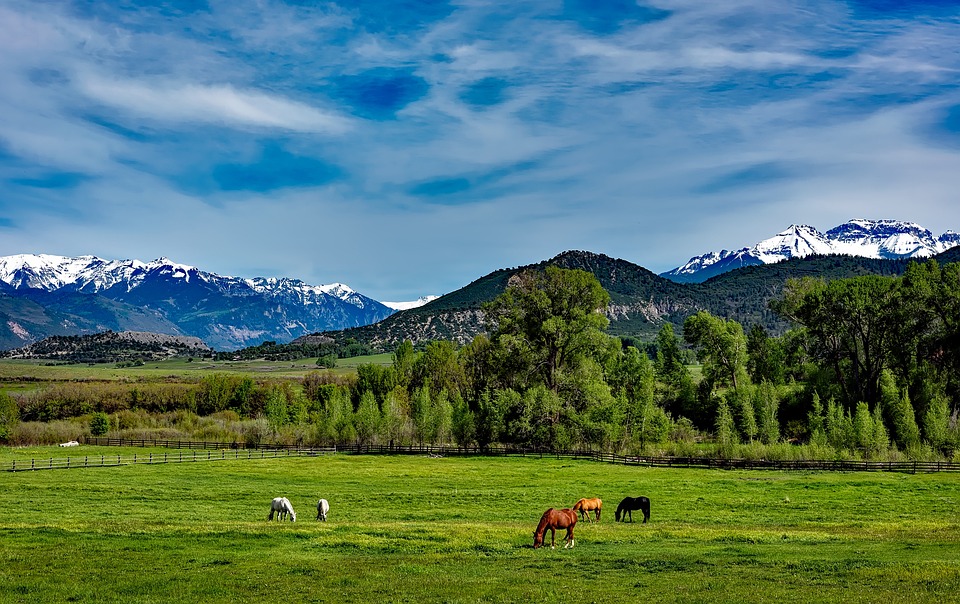 coloradoeprmountains.jpg