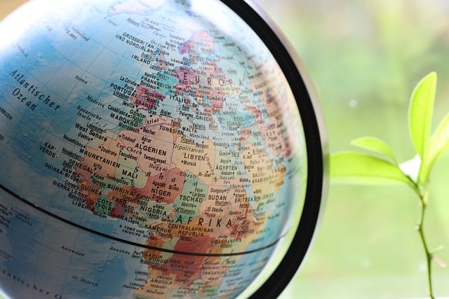 Decoding Policy: How can your company benefit from our emerging trends monthly updates.