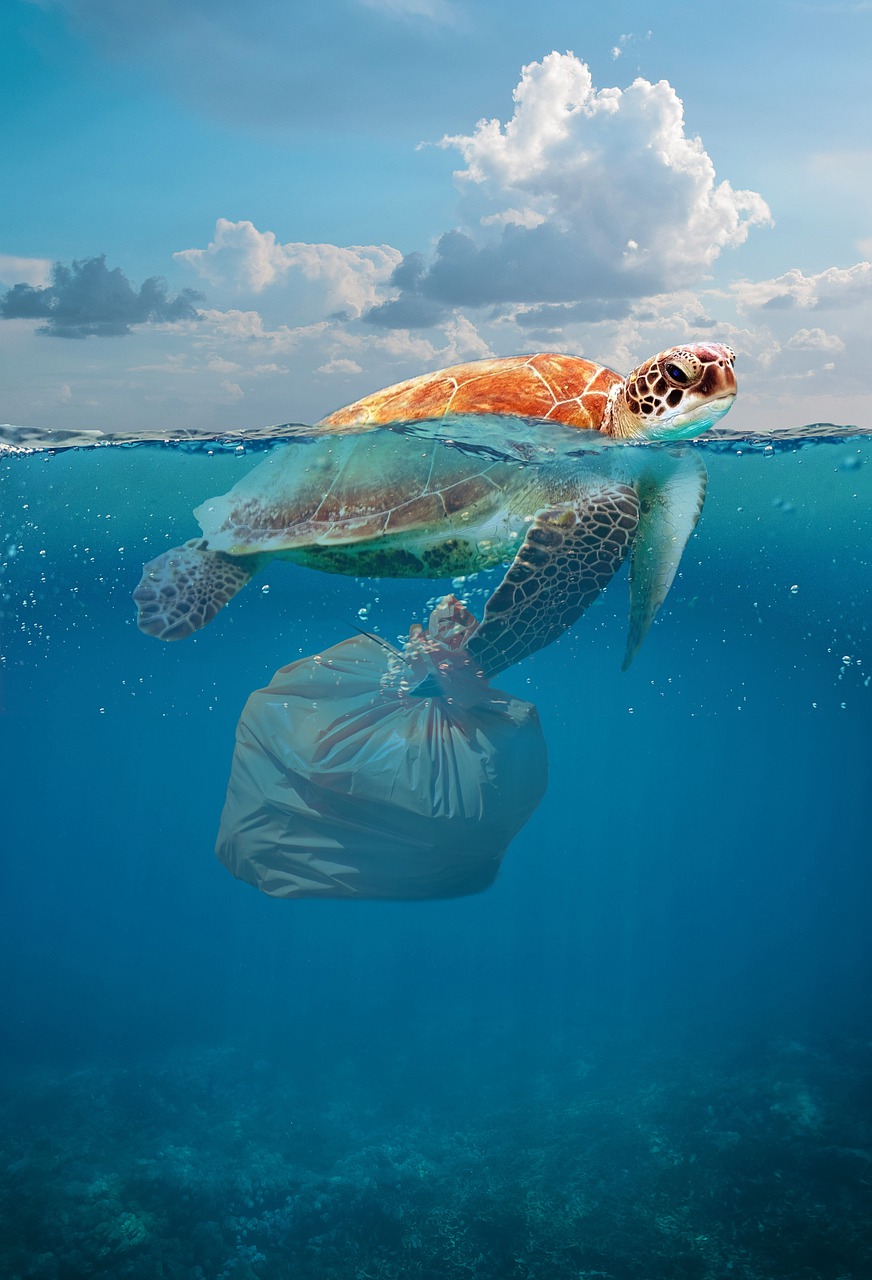 Will the United Nations Global Treaty be a solution for plastics pollution?
