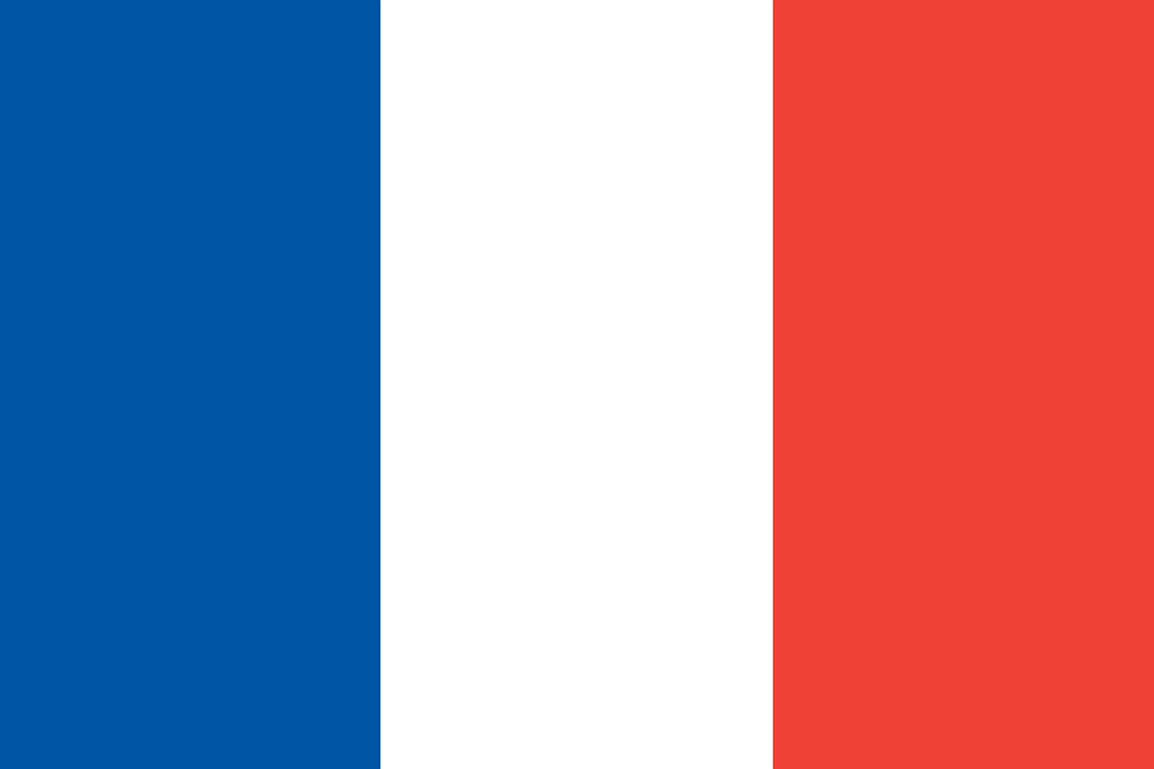 french flag.png